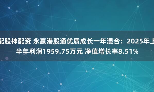 配股神配资 永赢港股通优质成长一年混合：2025年上半年利润1959.75万元 净值增长率8.51%