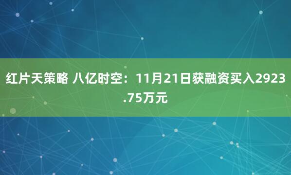 红片天策略 八亿时空：11月21日获融资买入2923.75万元